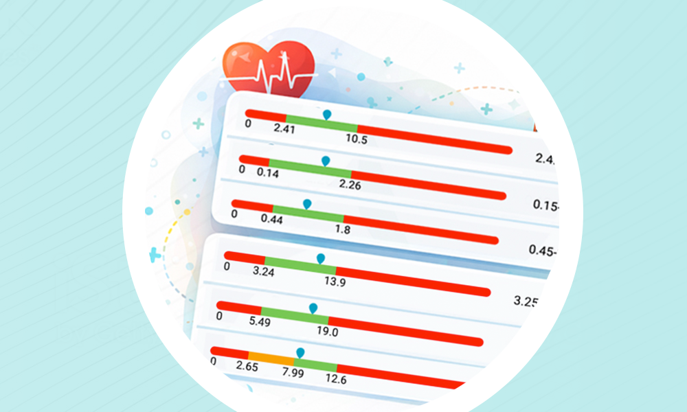 Cardio Zoomer Bootcamp